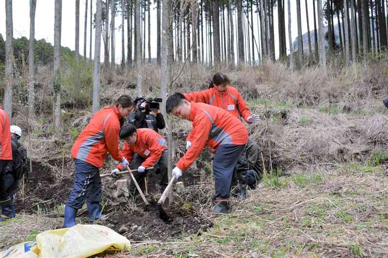 サクラの苗木を植樹する熊本トヨペットの新入社員たち＝6日、阿蘇市