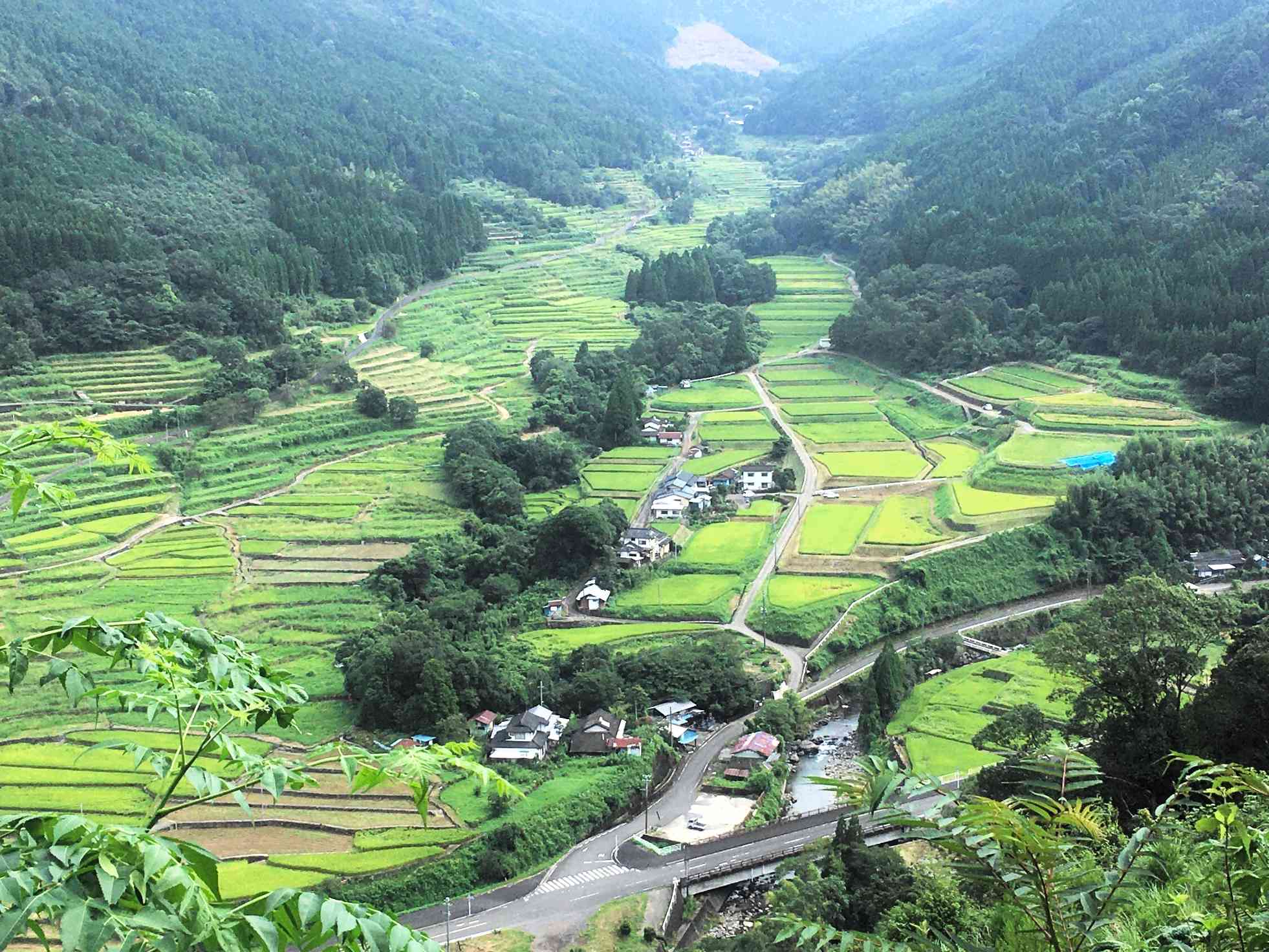 絶景に圧倒される寒川地区の棚田。地元住民の努力で景観が維持されている＝水俣市久木野