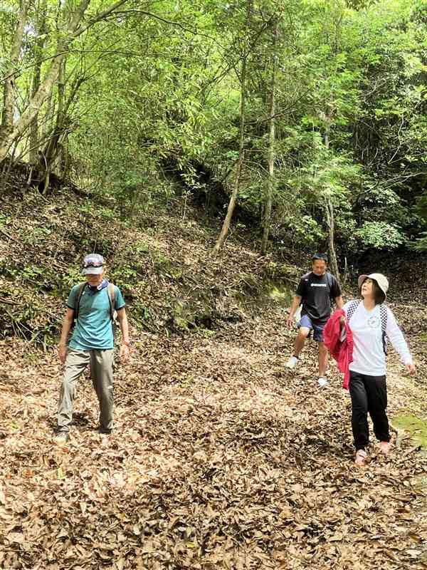 赤松太郎峠に残る薩摩街道を歩く松尾さん、横田さん、姉川さん（左から）。石畳の道だが落ち葉が降り積もっていた