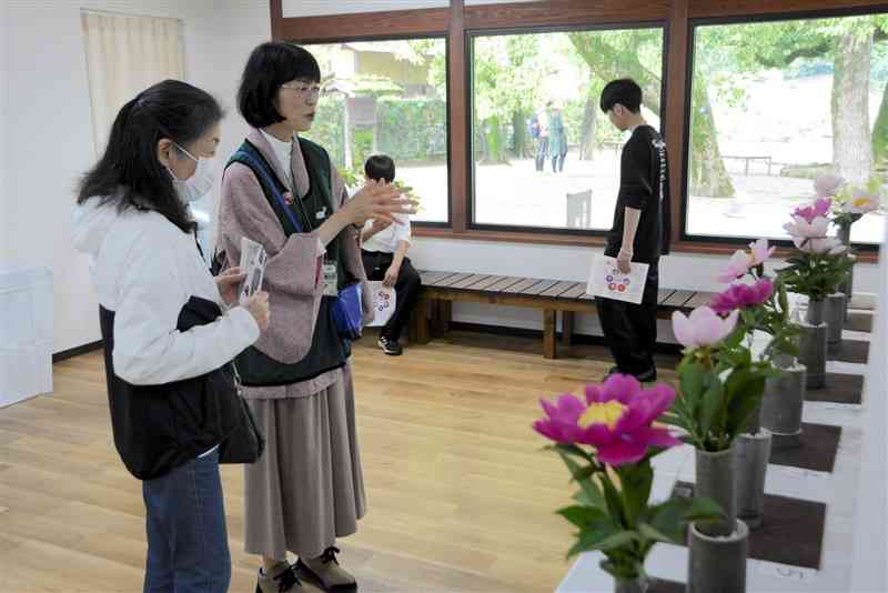 水前寺成趣園で開かれた肥後芍薬展で、来場者に説明する「緑のマイスター」の猪俣奈美さん（左から2人目）＝4月27日、熊本市中央区