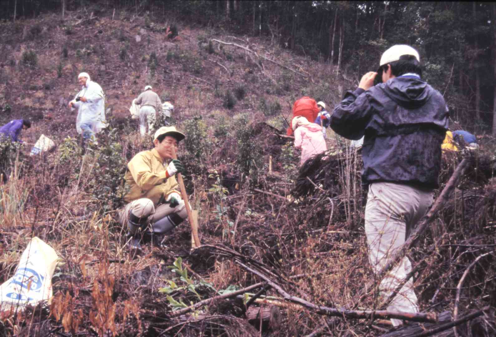 「水源の森づくり」で苗木を植える参加者。そばに自分の名前を書いた札も立てた＝1996年4月、水俣市