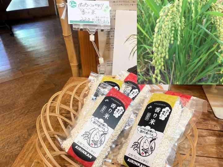 愛林館で販売している香り米。右上は先端が赤くなった収穫直前の穂