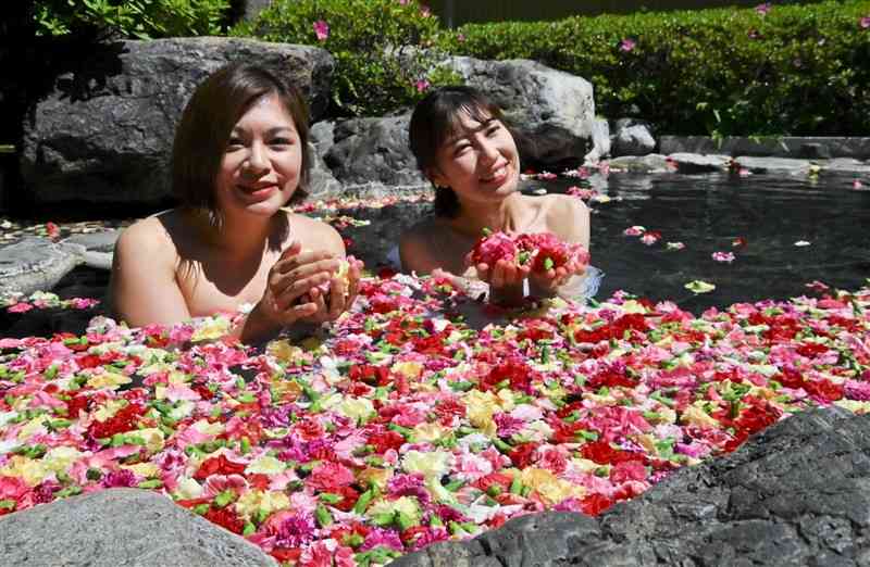 日奈久温泉の「カーネーション風呂」のPR会で花の色と香りを楽しむ招待客＝9日、八代市