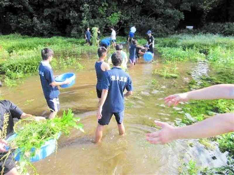熊本市から助成を受けた昨年度の活動で、上江津湖で外来植物を取り除く熊本工高の生徒ら（熊本市地域活動推進課提供）