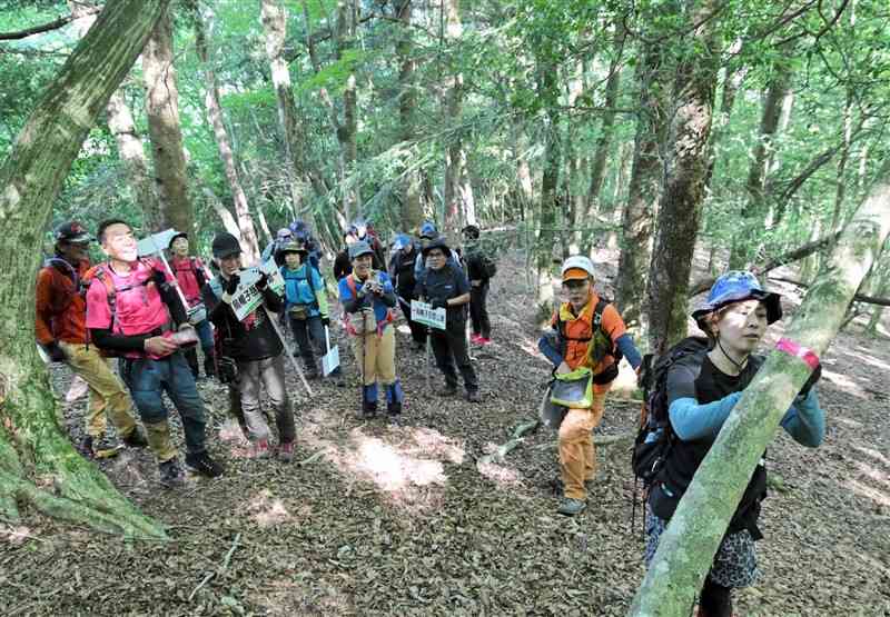 烏帽子岳に新しく造った登山道に標識やリボンを設置する登山愛好家ら＝11日、八代市