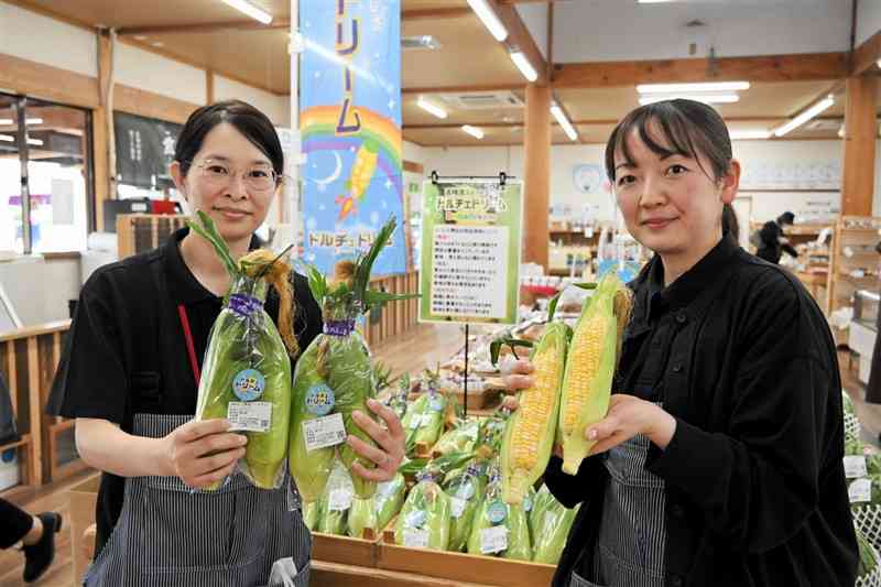 きくち観光物産館で販売が始まっているスイートコーン「ドルチェドリーム」＝10日、菊池市