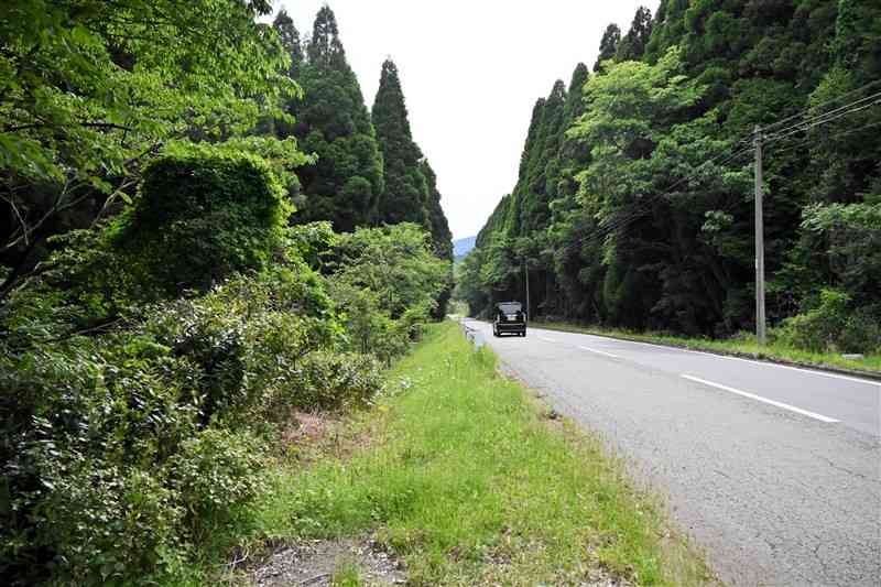 約30年前に県が買い取った「阿蘇ソフトの村」の用地。一括譲渡先を募っている＝20日、高森町（中島忠道）