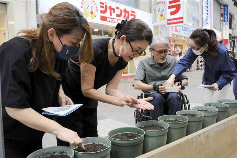 アサガオの種を植える下通二番街商店街振興組合の関係者ら＝20日、熊本市中央区