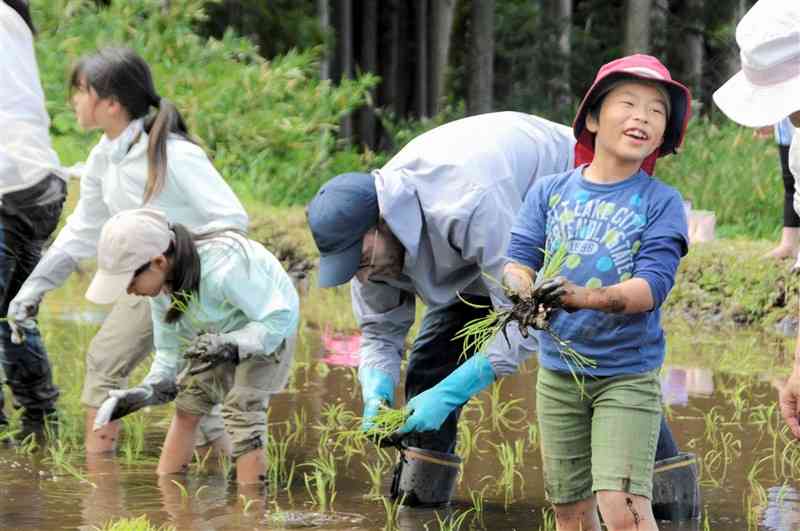 「阿蘇水掛の棚田」で泥だらけになりながら田植えをする親子連れ＝19日、阿蘇市