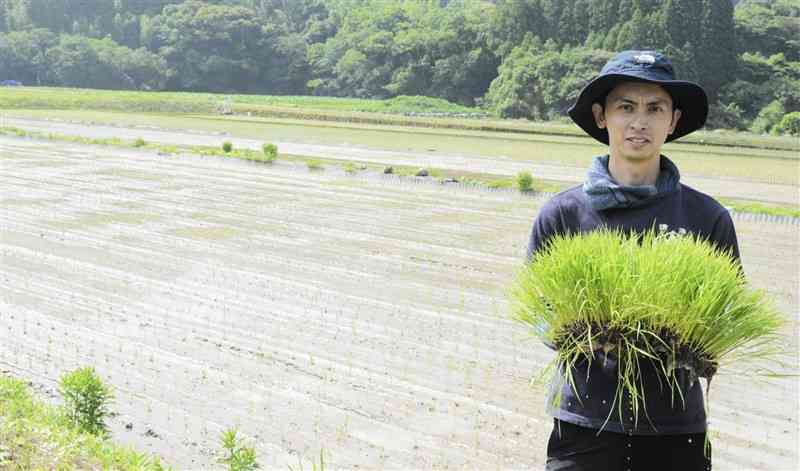 酒米の生産に挑んでいる亀萬酒造専務で杜氏（とうじ）の竹田瑠典さん＝2023年6月、津奈木町