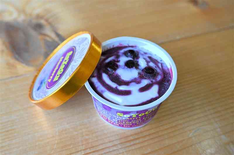 熊本県産ブルーベリーや豆乳、牛乳を使ったヨーグルトアイスクリーム「SOYOGU」＝菊池市