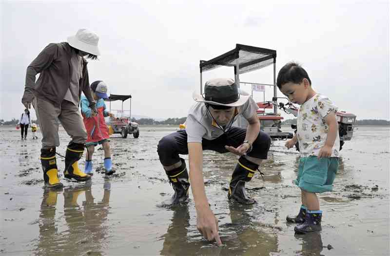 干潟で生き物を観察する家族連れ＝2日、荒尾市