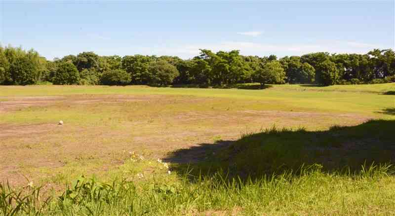 バックネットなどが撤去され、緑が広がる菊池恵楓園のグラウンド＝5月29日、合志市