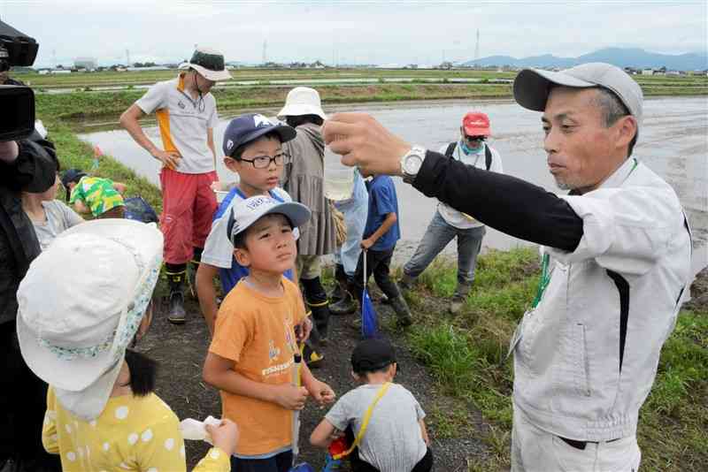 田んぼで捕まえた生き物の説明を聞く子どもたち＝29日、熊本市南区