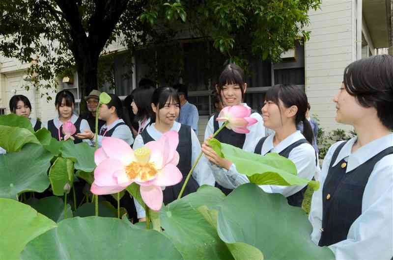 大賀ハスの香りを確かめる国府高の生徒ら＝29日、熊本市中央区