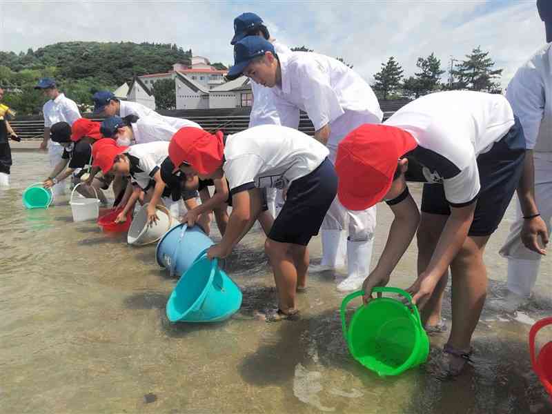 マダイの稚魚やクルマエビの稚エビを放流する富岡小の児童と天草拓心高マリン校舎の生徒ら＝2日、苓北町