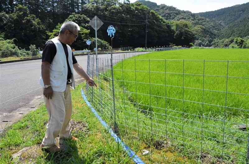 イノシシによる農作物被害を防ぐため、水田に設置された防護柵。地域全体で管理し、被害をゼロにした＝6月19日、天草市