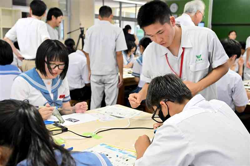 八代六中の生徒に、音声に反応するライト作りを指導する八代工高電気科の3年生（右）ら＝5日、八代市