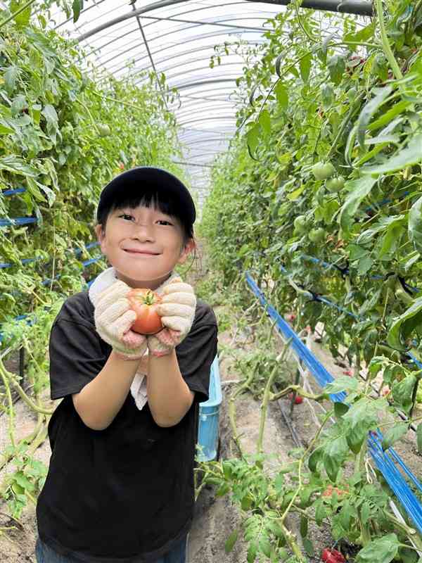 トマトの森みたいでした（木ノ下さん提供）