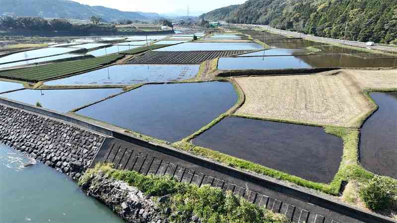 くまもと地下水財団が瀬田地区の田んぼで始めた「冬期湛水」事業＝昨年11月、大津町（ドローン撮影、石本智）