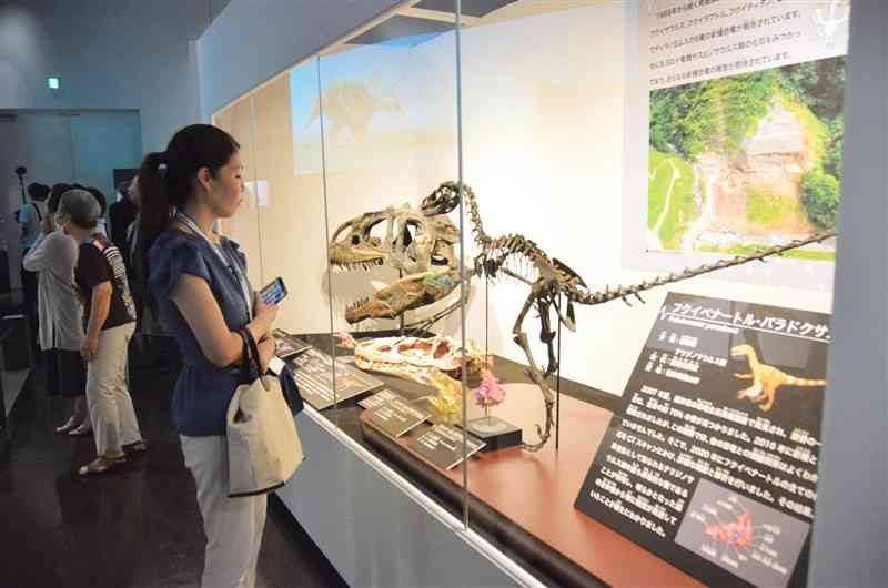 恐竜の脳から生態を解き明かす 御船町恐竜博物館で夏の特別展 9月29日まで ｜熊本日日新聞社