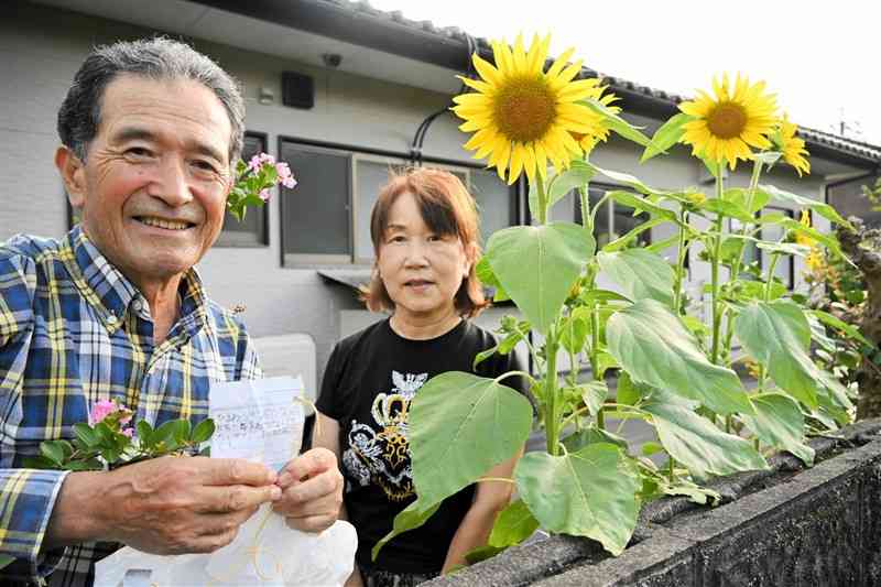 風船に付いたヒマワリの種を育てた後藤治幸さんと妻ゆき子さん＝７月26日、南阿蘇村