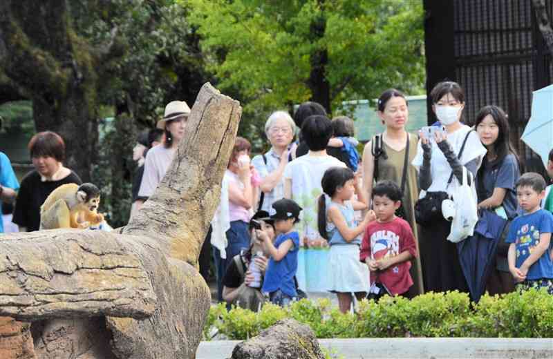 リスザル（左手前）がピーナツを器用に食べる様子を見つめる来園者ら＝27日、熊本市東区