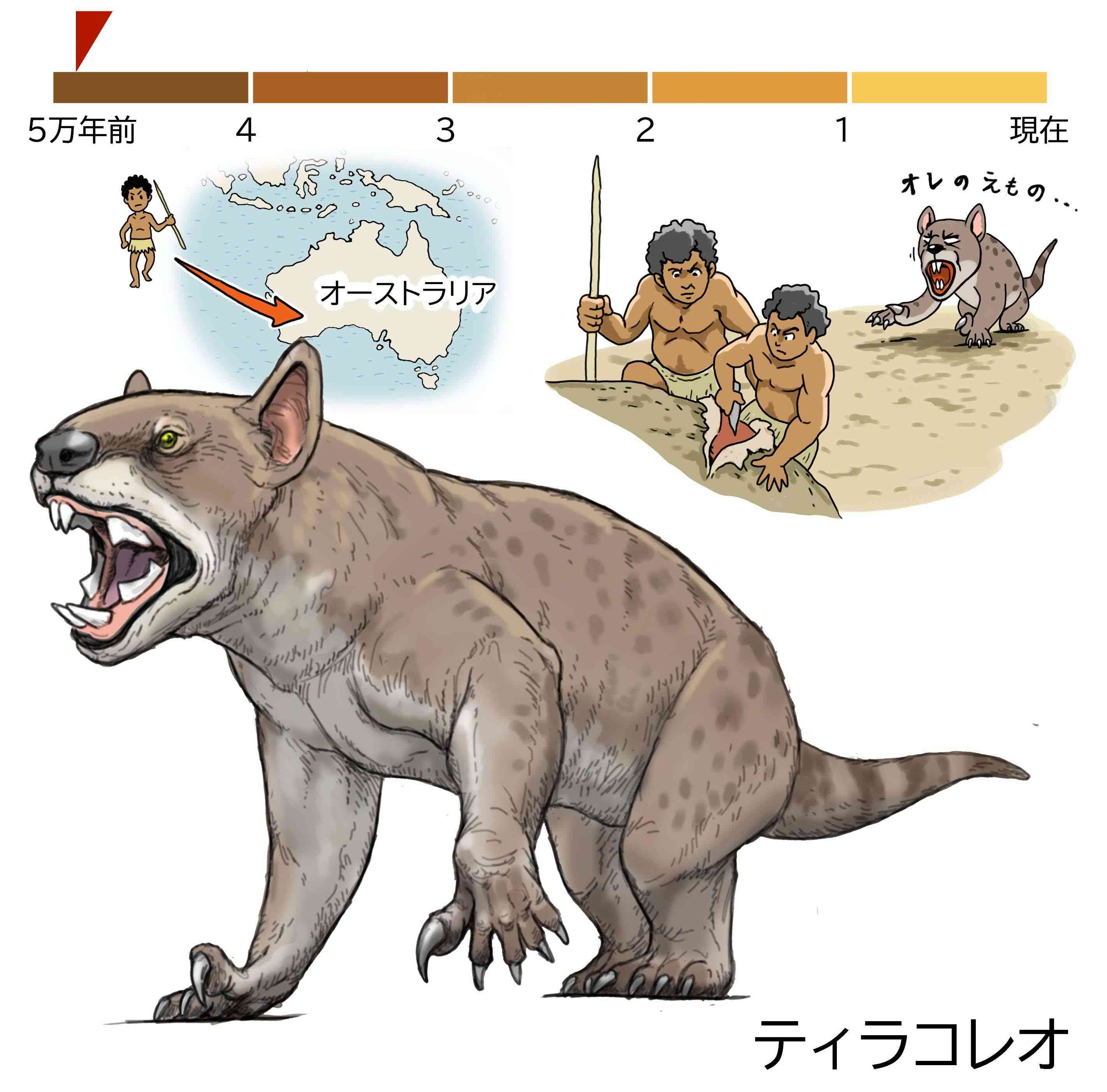 ふくろを持つライオン　凶暴なハンター＜絶滅動物とヒトとの物語＞