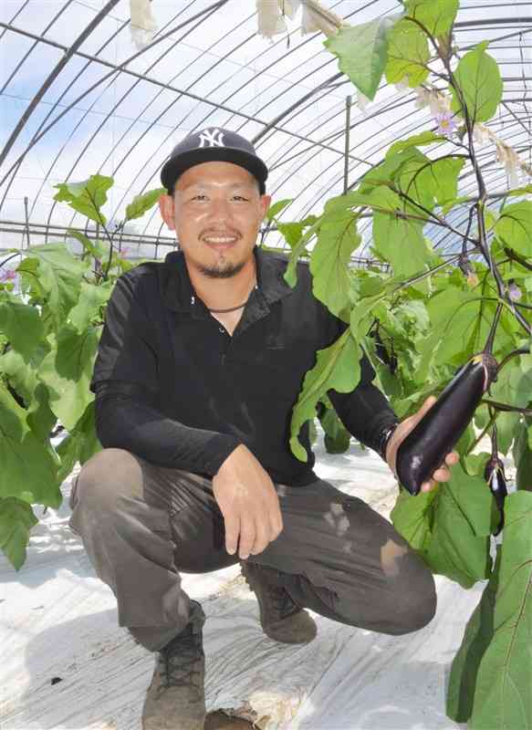 ヒゴムラサキを栽培する森田勝平さん。害虫駆除に天敵昆虫を用いるなどして減農薬栽培にも取り組んでいる＝7月下旬、高森町