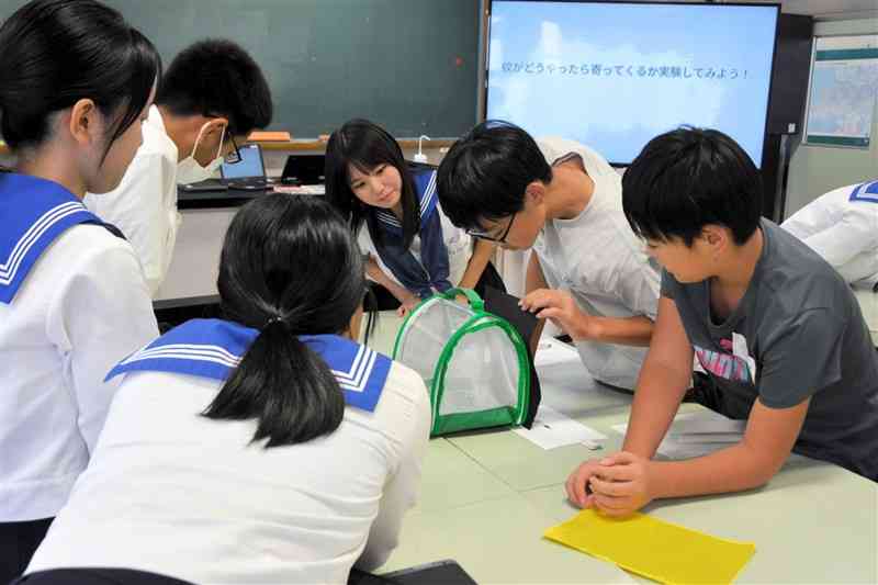 宇土高生に教わりながら、色の違う紙を近づけて蚊の反応を観察する児童たち＝1日、宇土市