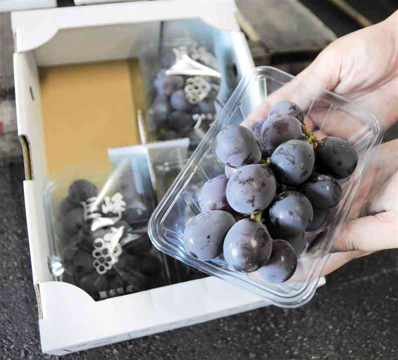 熊青西九州青果が扱うブドウの約7割を占める巨峰