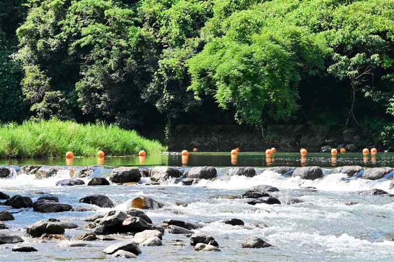 氷川町の立神峡里地公園沿いを流れる氷川。危険な場所にはブイが浮かべられている＝氷川町