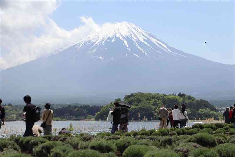 富士山をながめる観光客ら＝2023年5月、山梨県富士河口湖町