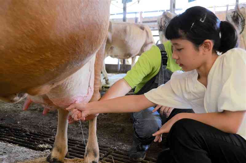 乳搾りを体験する子どもたち＝昨年7月、合志市のオオヤブデイリーファーム