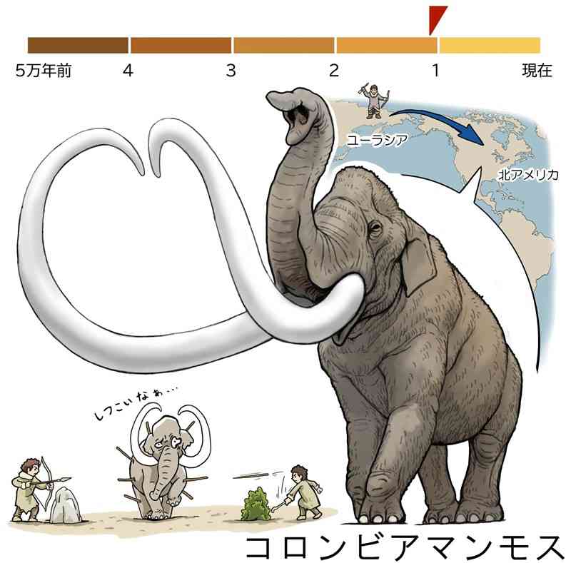 「皇帝」の異名も　大きな体が弱点に＜絶滅動物とヒトとの物語＞