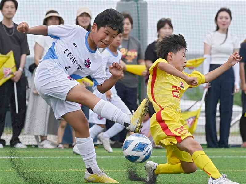 　<b>【懸命】</b>サッカー男子決勝で、嘉島セレシアFCの富岡俊之介（左）のパスをブレイズ熊本Jの白奥康雅がカットする＝熊本県フットボールセンター（石本智）