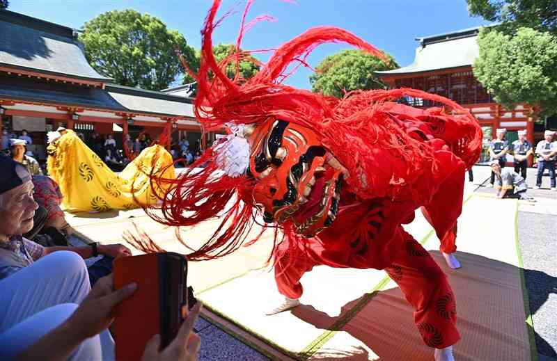 藤崎八旛宮で披露された熊本新町獅子保存会の獅子飾り卸し＝13日午前、熊本市中央区（石本智）