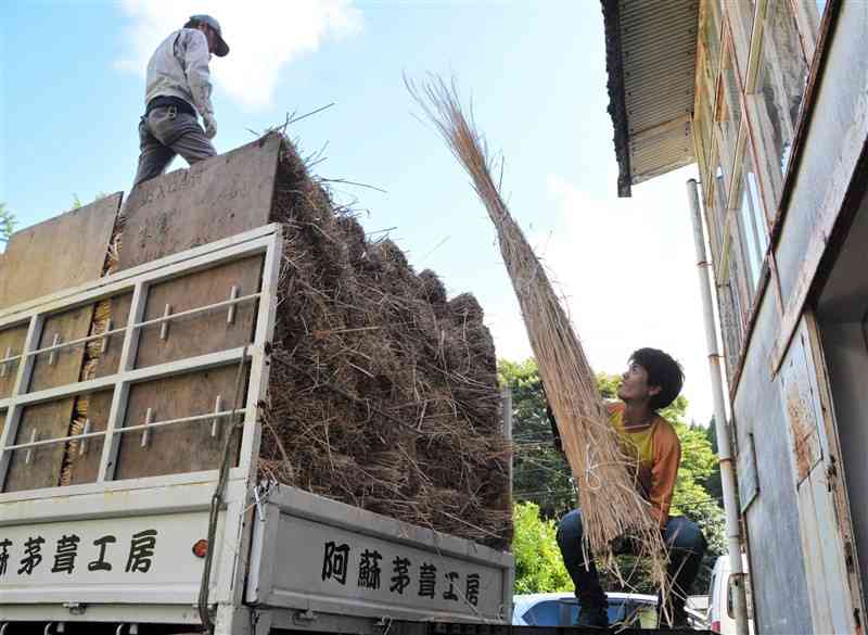 大阪・関西万博に出荷するカヤをトラックに積み込む阿蘇グリーンストック職員＝17日、阿蘇市