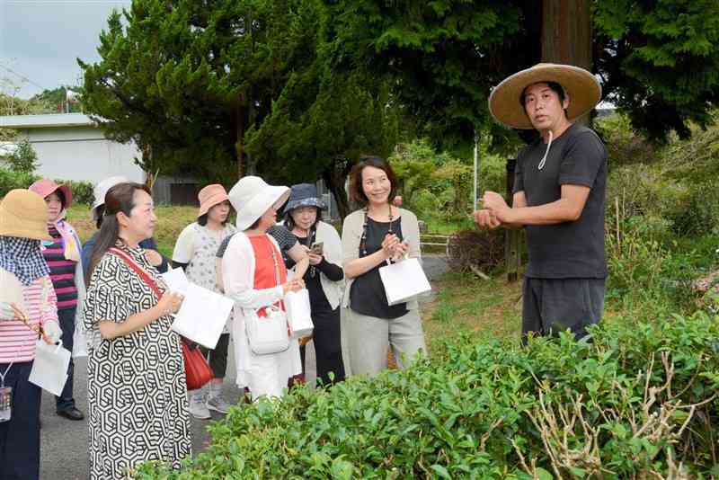 茶葉の摘み方や種類について説明する天野浩代表（右）と案内人のスチュワード麻子さんら（右から2人目）＝20日、水俣市