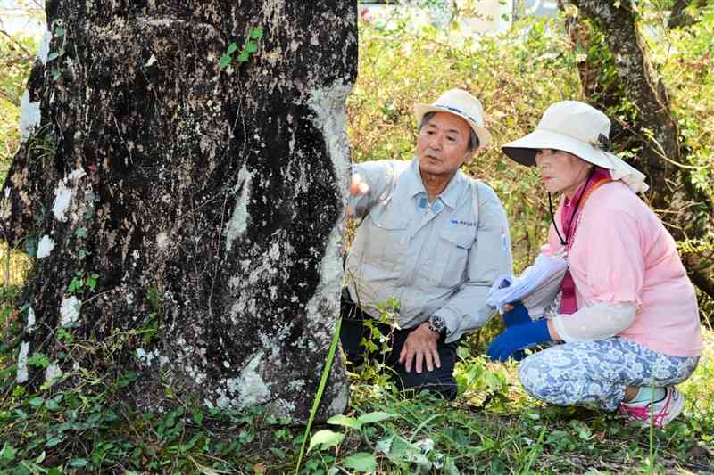 道の傍らにある庚申塔に彫られた文字を読む参加者たち＝人吉市