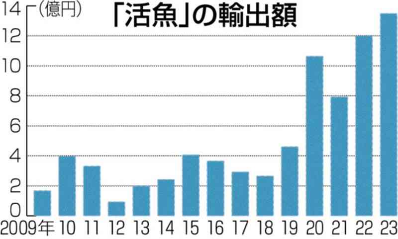 「活魚」輸出が過去最高　八代税関、23年13億4800万円　輸出先は全て韓国