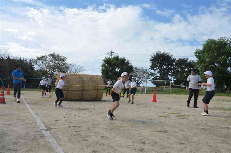 重さ200キロの俵を引く大野小の児童＝25日、玉名市