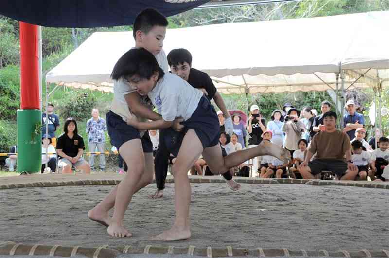 伝統の相撲大会で熱戦を繰り広げる児童たち＝28日、天草市