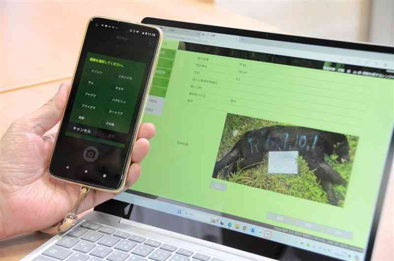 捕獲した鳥獣の情報をデジタルで管理できるアプリの画面。自治体にデータで写真を送信できる