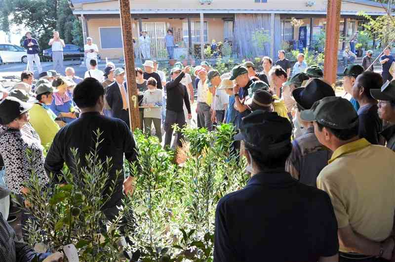 庭木や苗木を目当てに多くの愛好家らが集まった「植木競り市」＝6日、甲佐町