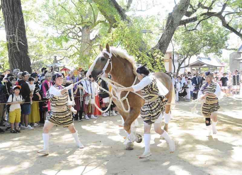 宮原三神宮の境内で神馬を走らせる勢子＝13日、氷川町