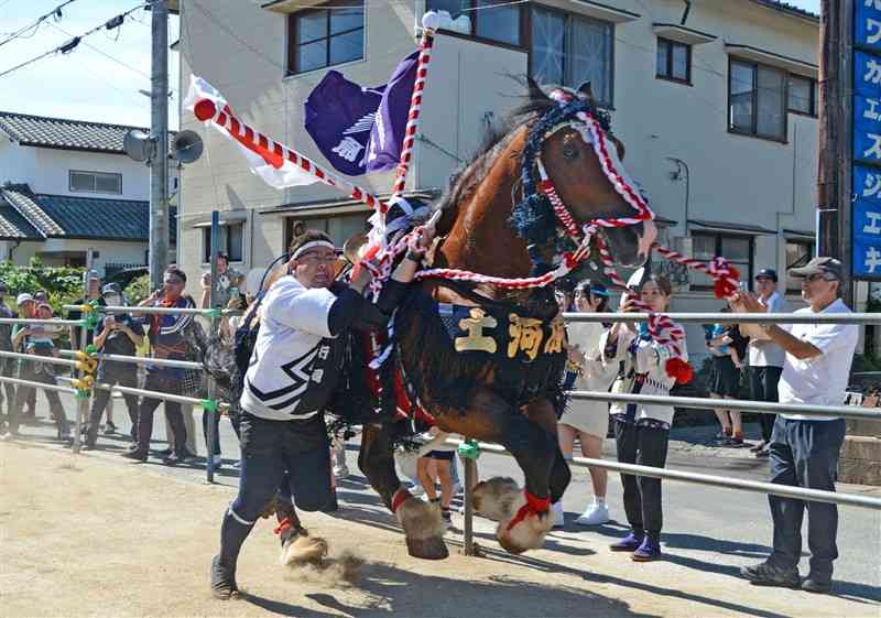 人馬一体となって参道を駆け抜けるさがり馬＝18日、熊本市南区