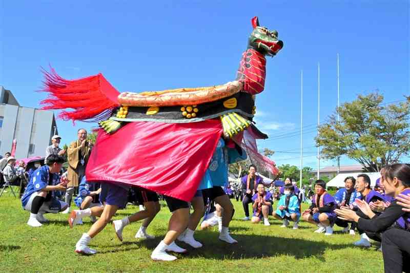 勢いよく駆け回るちびっこ妙見祭の子ガメ＝20日、八代市