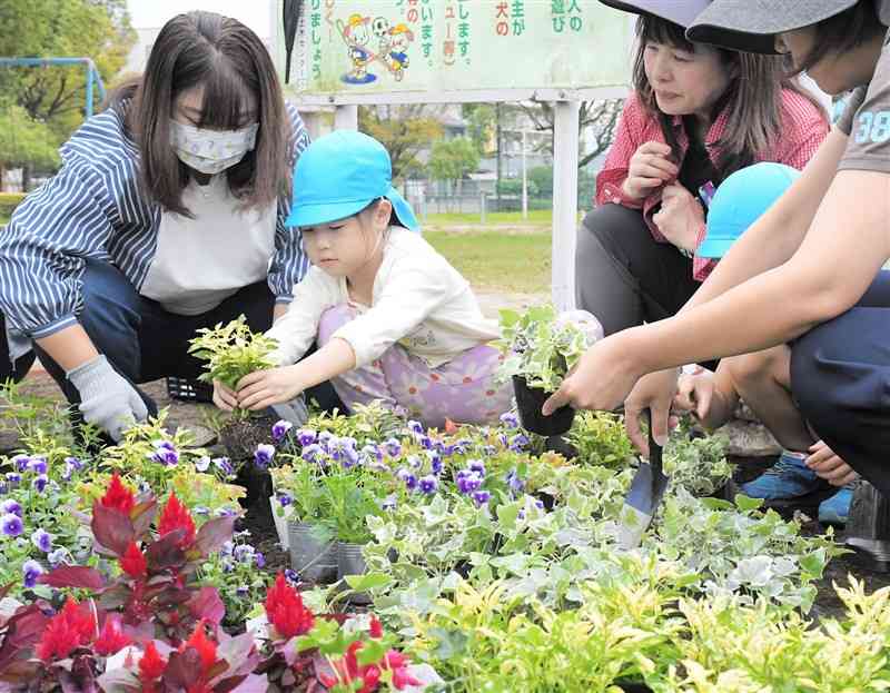 楠中央公園の花壇に花苗を植える園児ら＝29日、熊本市北区