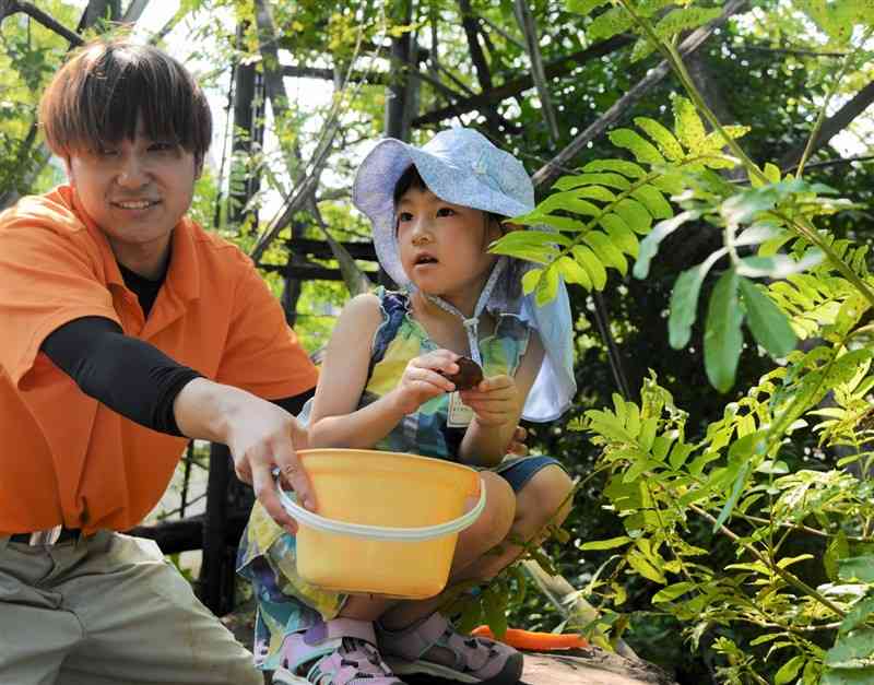 チンパンジー愛ランドで果物や野菜を木の枝や岩の上に置く子ども＝9月7日、熊本市東区